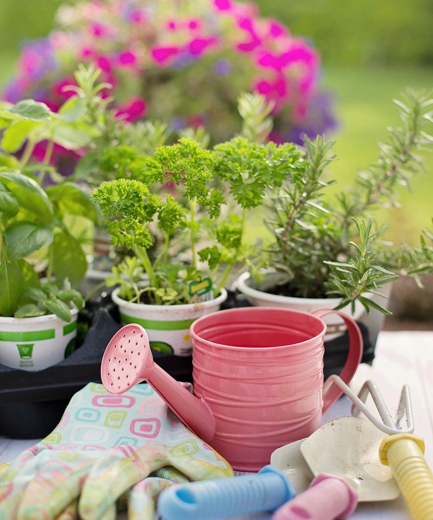 gardening